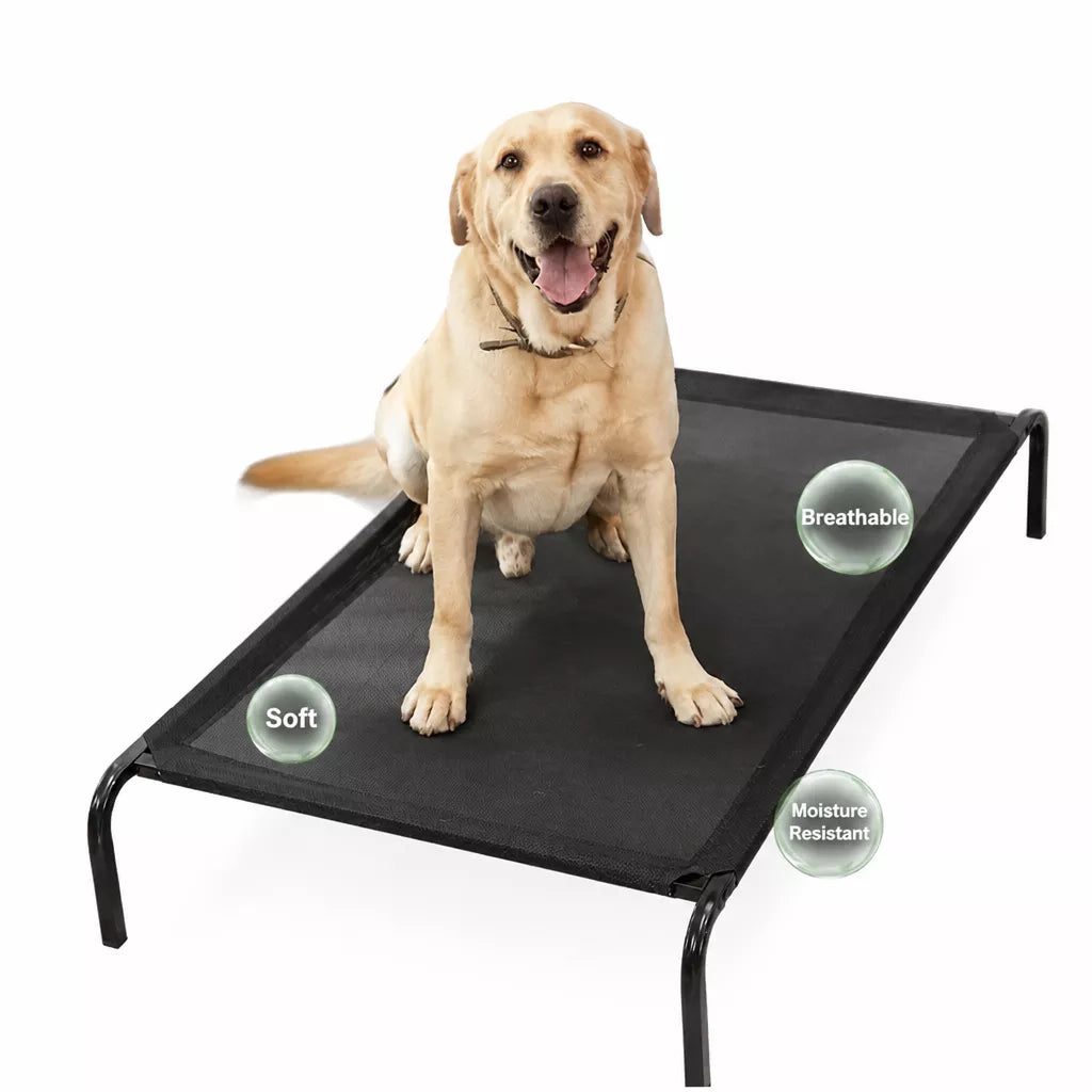 Elevated Pet Cot Bed with Removable Washable Nylon Cover