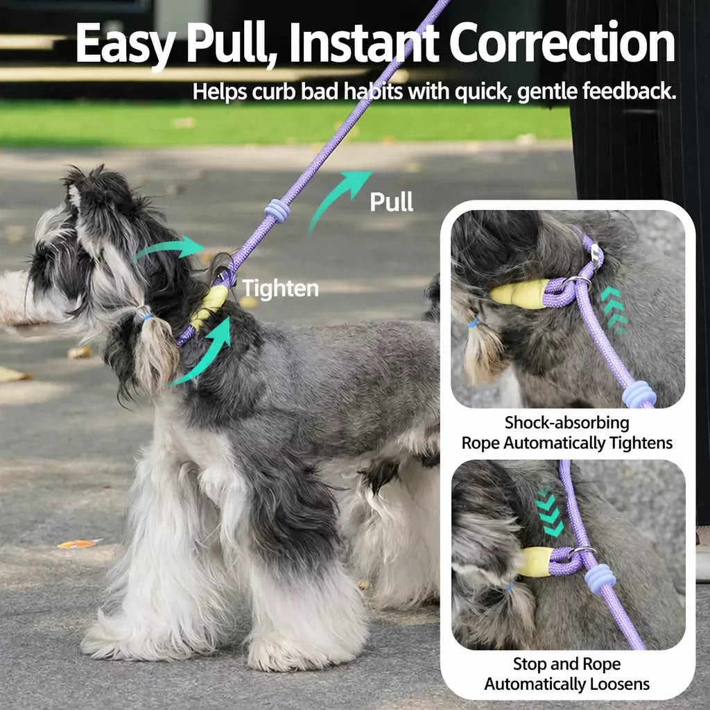 Nylon Slip Lead Dog Leash for Walking and Training