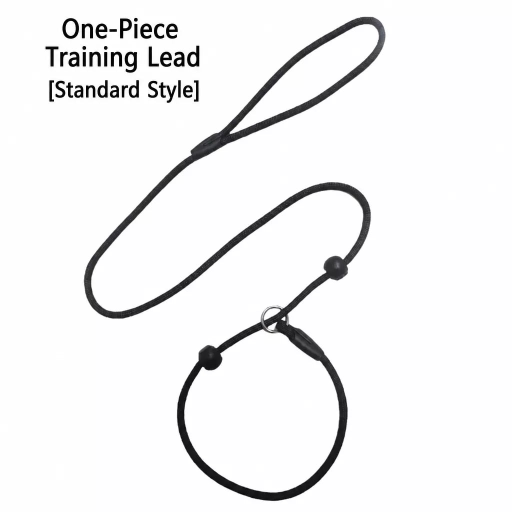 Nylon Rope-Style Dog Training Leash for Small and Medium Dogs