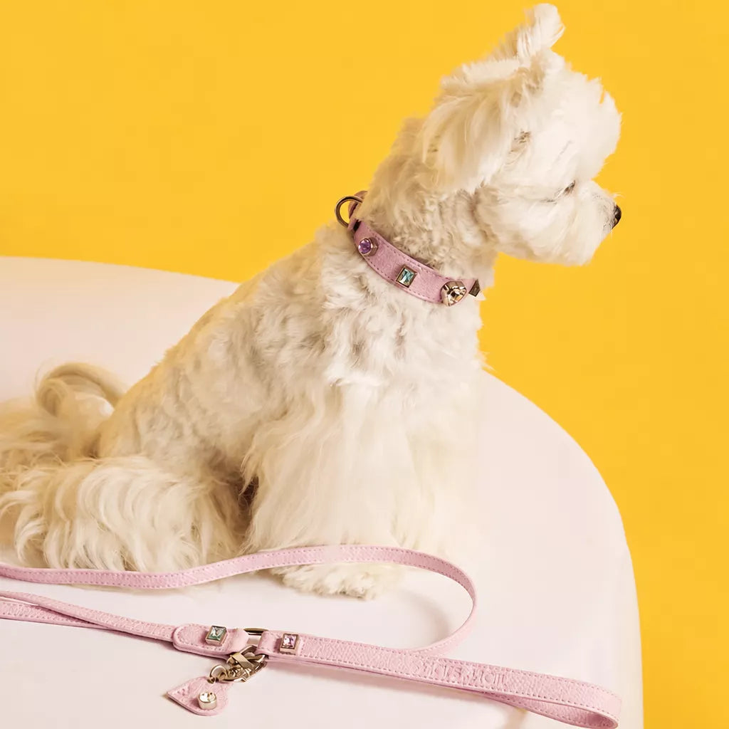 Rhinestone Faux Leather Collar and Leash for Small Pets