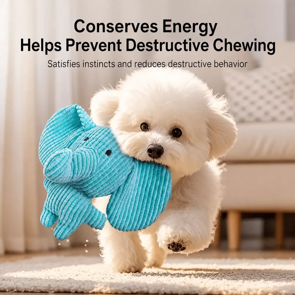 Plush Squeaky Dog Toy for Chewing and Interactive Play