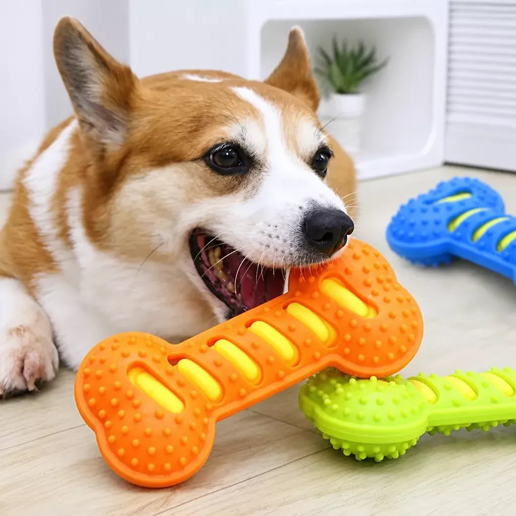 Double-Layer Squeaky Bone Toy for Large Dogs