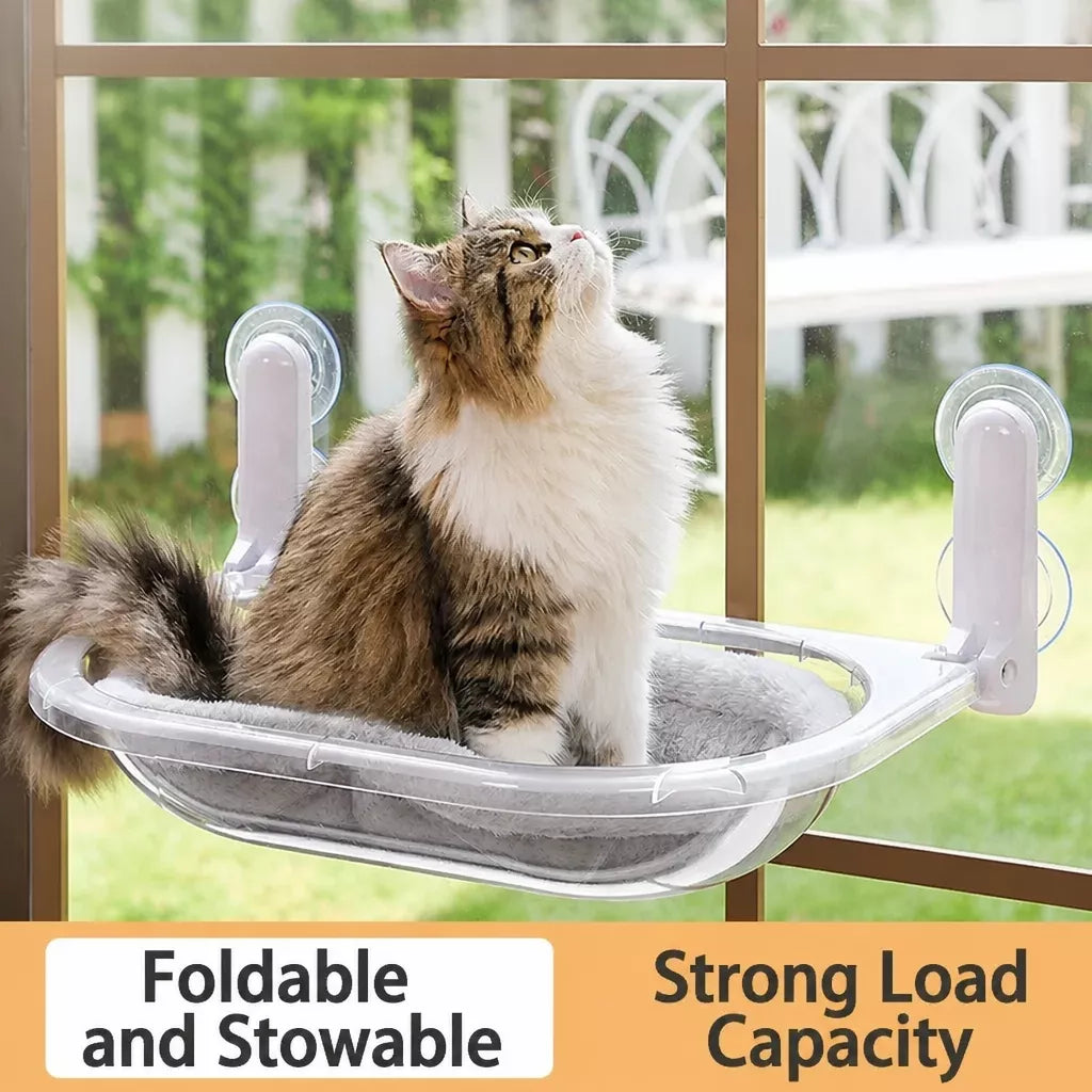 Foldable Transparent Cat Window Capsule Hammock