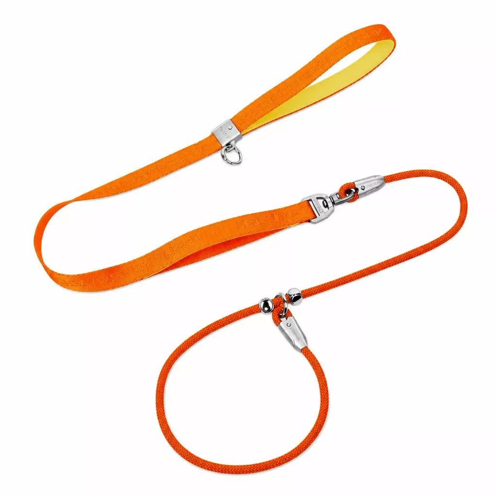 Integrated Slip Lead Dog Leash with Close-Control Handle
