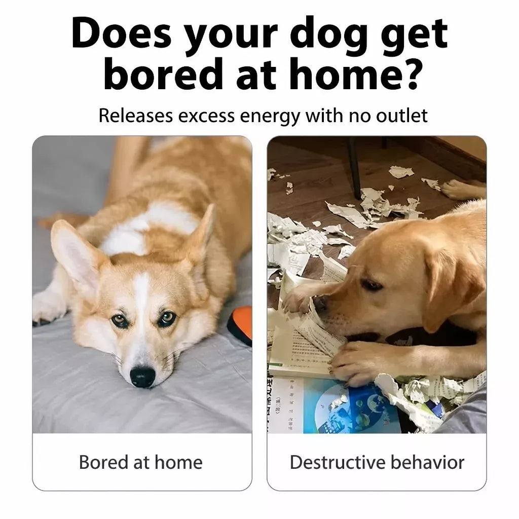 Squeaky Crinkle Dog Toy – Newspaper-Inspired Interactive Toy