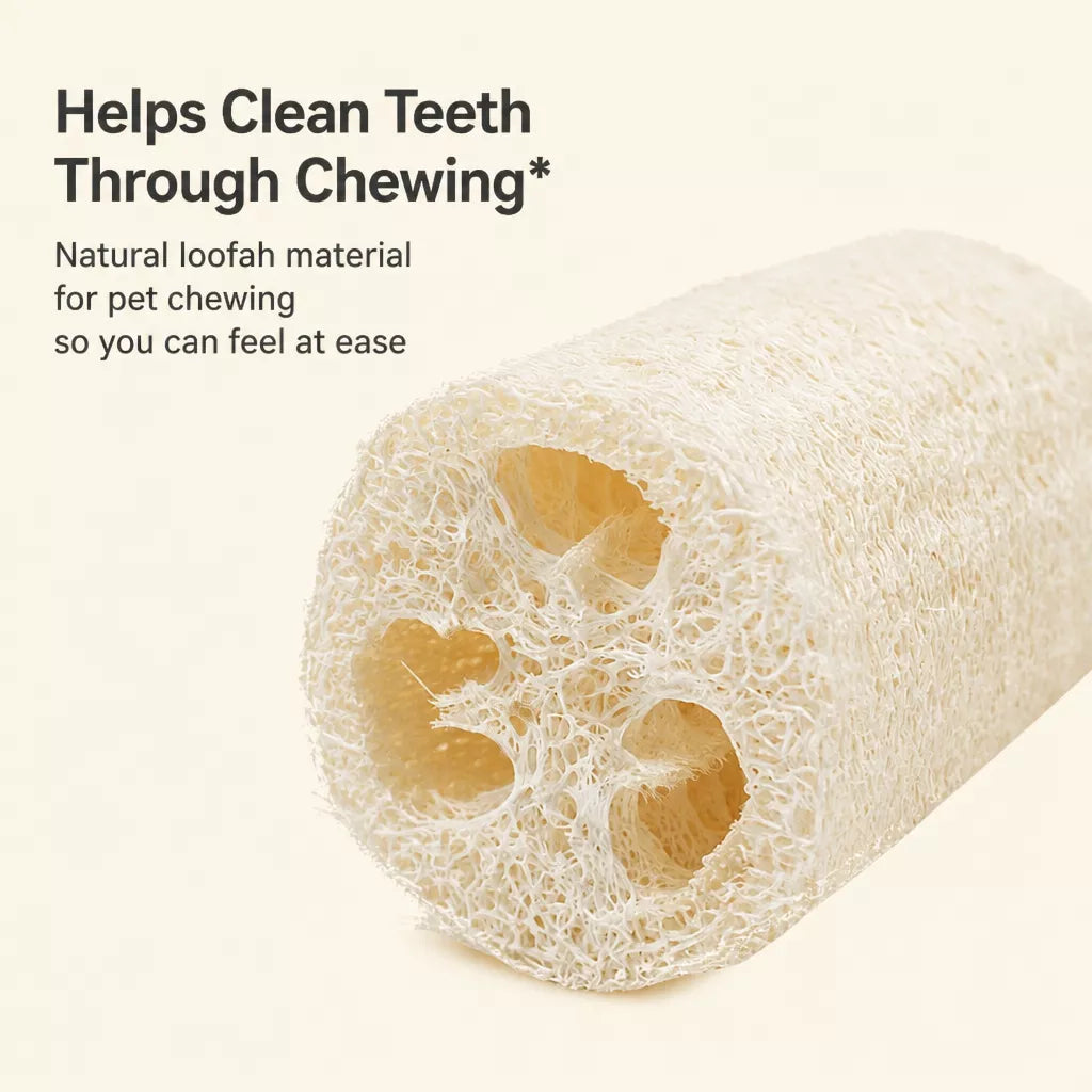 Natural Loofah Cat Toy with Catnip