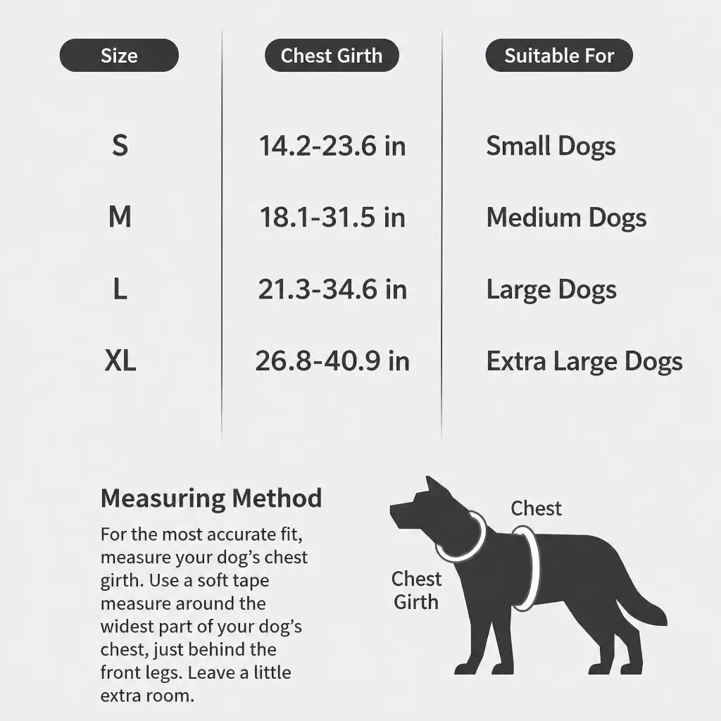 Lightweight Nylon Dog Harness and Leash Set