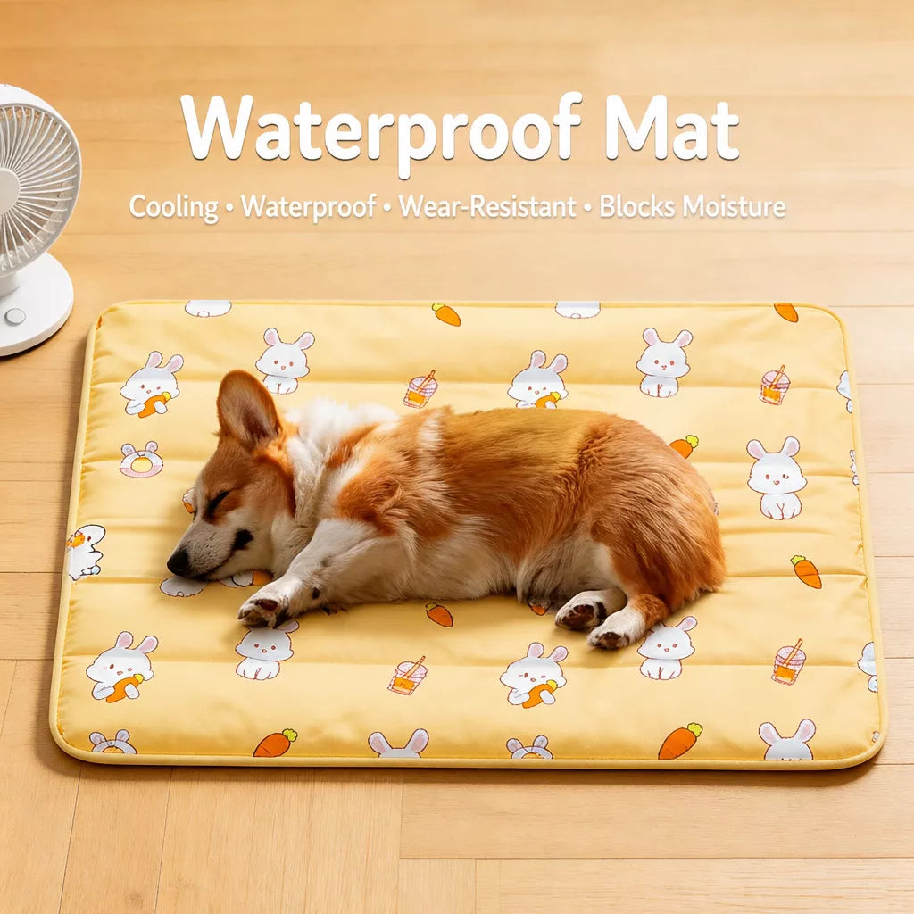 Plastic Pet Bed Mat for Dogs and Cats