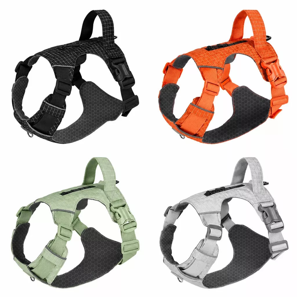 Adjustable Nylon Vest-Style Dog Harness and Leash Set