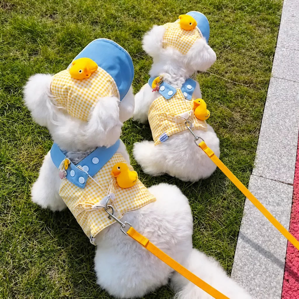 Pet Harness Vest and Hat Sets with Leashes