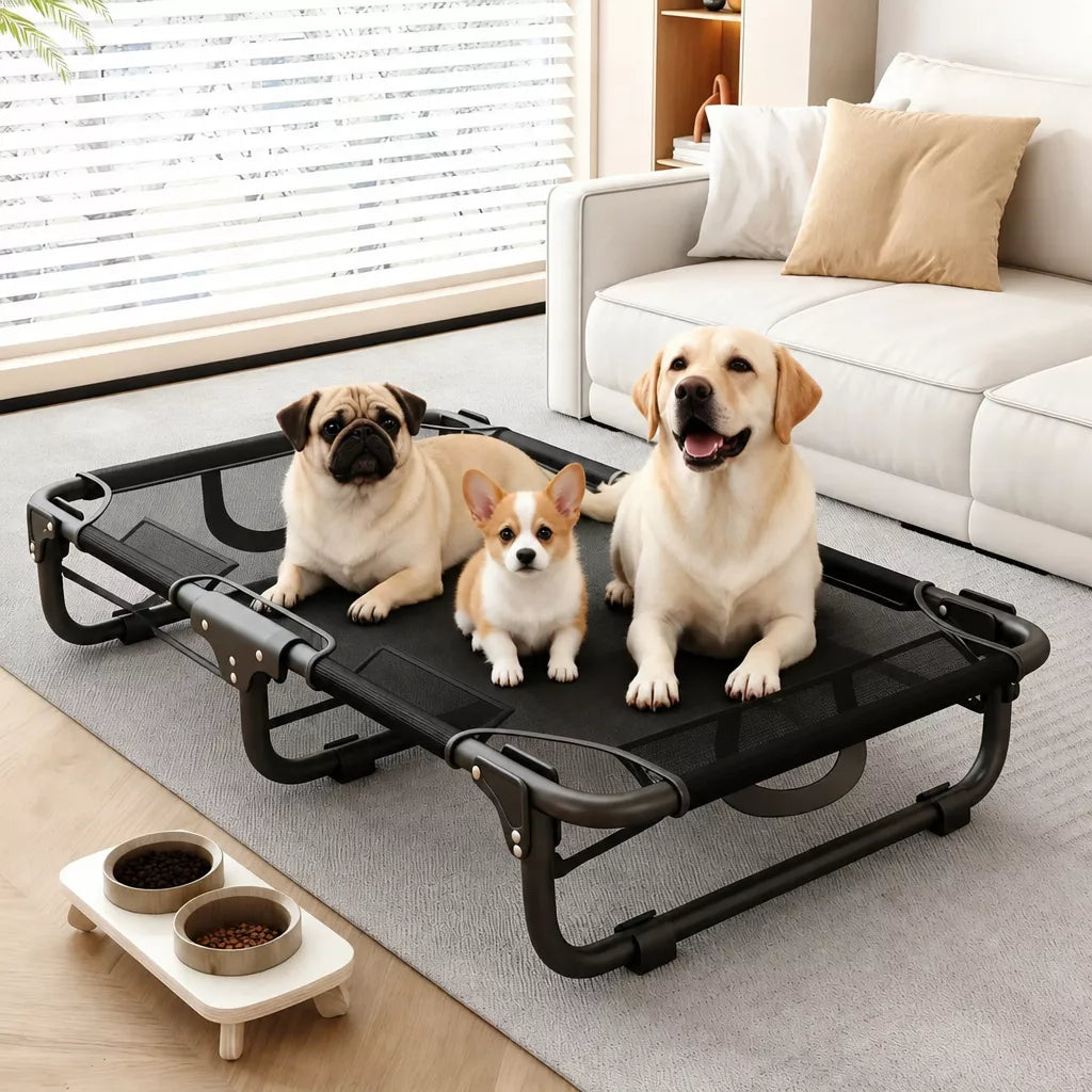 Elevated Foldable Mesh Dog Bed