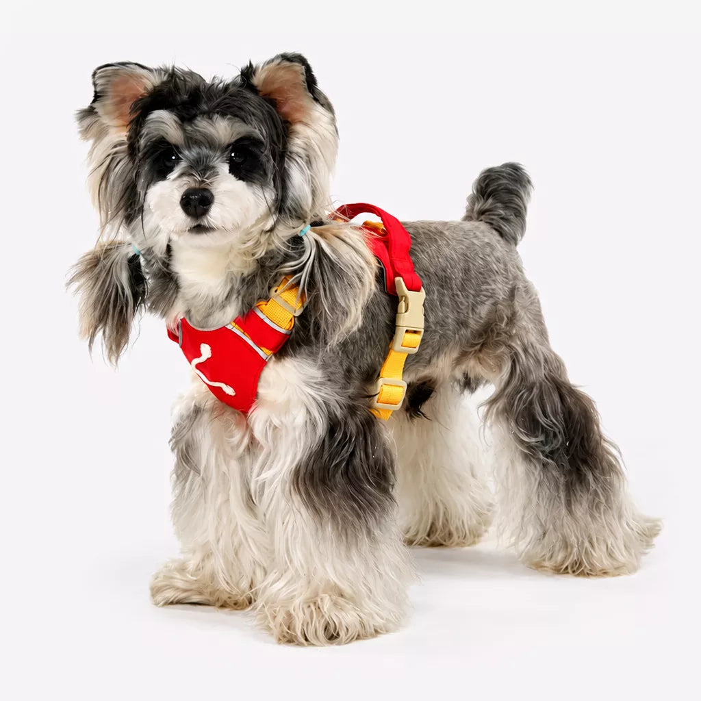Adjustable Vest-Style Dog Harness with Leash for Walks
