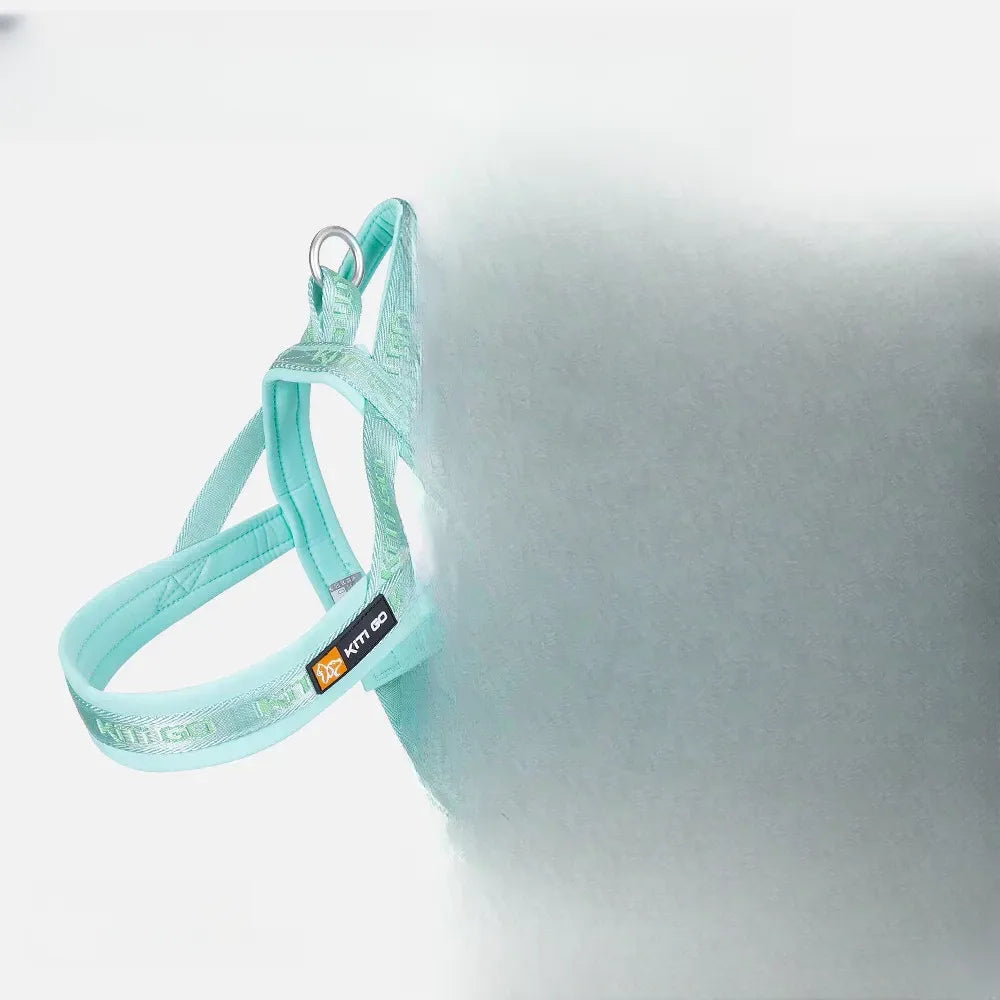 Nylon Dog Harness with Collar and Leash Set Options