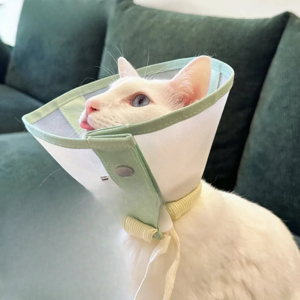 Lightweight Plastic Recovery Cone for Dogs and Cats