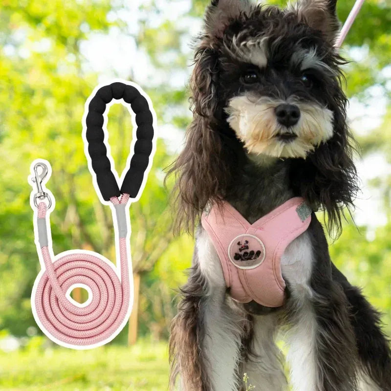 X-Style Pet Harness and Leash