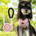 X-Style Pet Harness and Leash