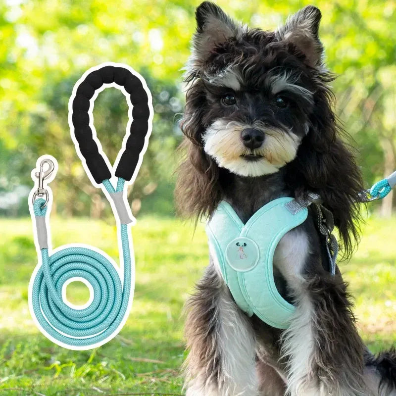 X-Style Pet Harness and Leash