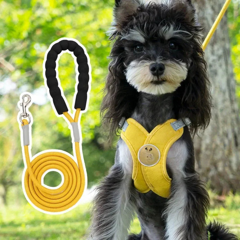 X-Style Pet Harness and Leash