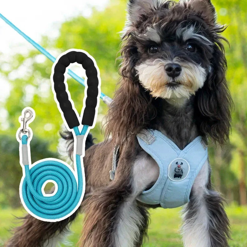 X-Style Pet Harness and Leash