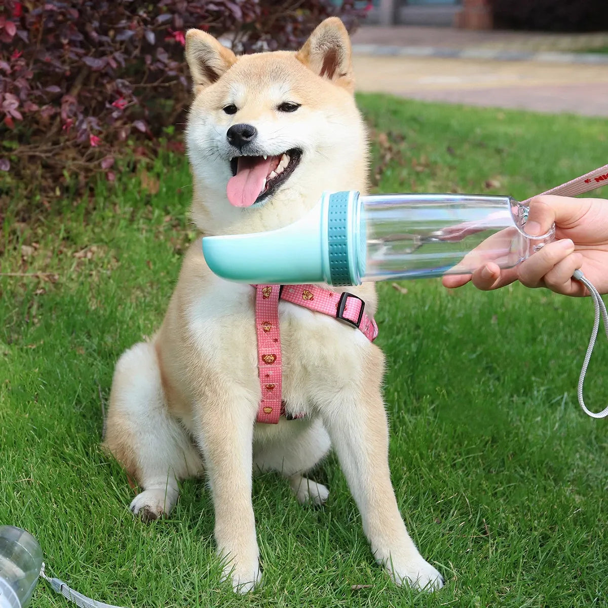 Portable Dog Water Bottle with Foldable Cup for Travel