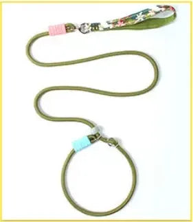 Extra-Long Thick Polyester Dog Leash
