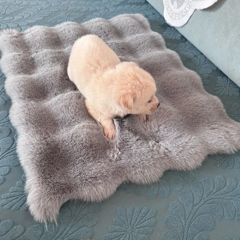 Pet Bed Mat for Cats, Dogs and Rabbits