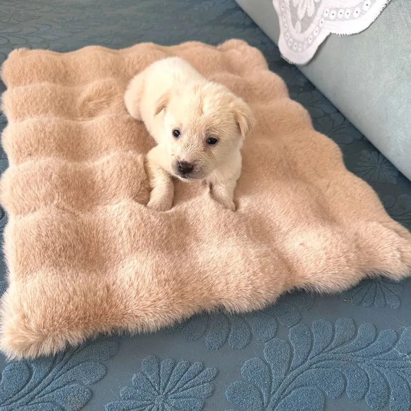 Pet Bed Mat for Cats, Dogs and Rabbits