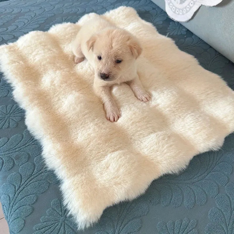 Pet Bed Mat for Cats, Dogs and Rabbits