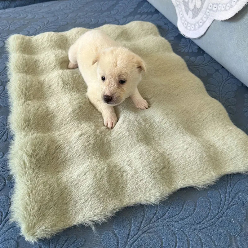 Pet Bed Mat for Cats, Dogs and Rabbits