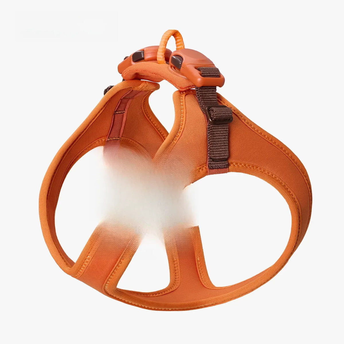 Adjustable Nylon Vest Harness for Small Dogs