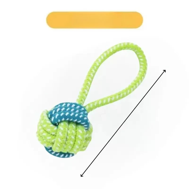 Interactive Dog Toys for Small to Medium Dogs – Tug & Squeaky