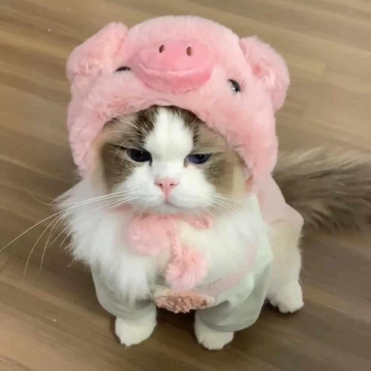 Pet Costume Hats for Dogs and Cats