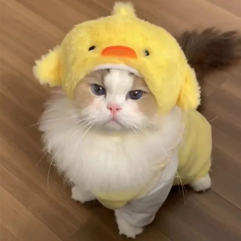 Pet Costume Hats for Dogs and Cats