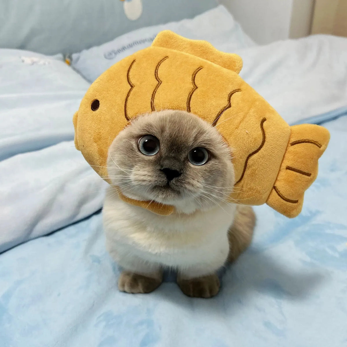 Pet Costume Hats for Dogs and Cats