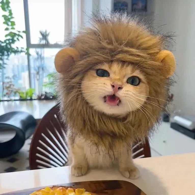 Pet Costume Hats for Dogs and Cats