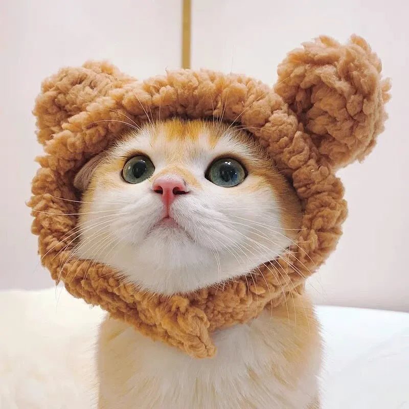 Pet Costume Hats for Dogs and Cats