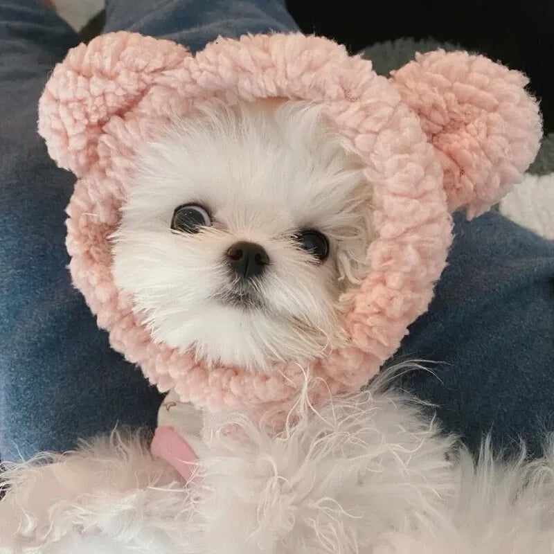 Pet Costume Hats for Dogs and Cats