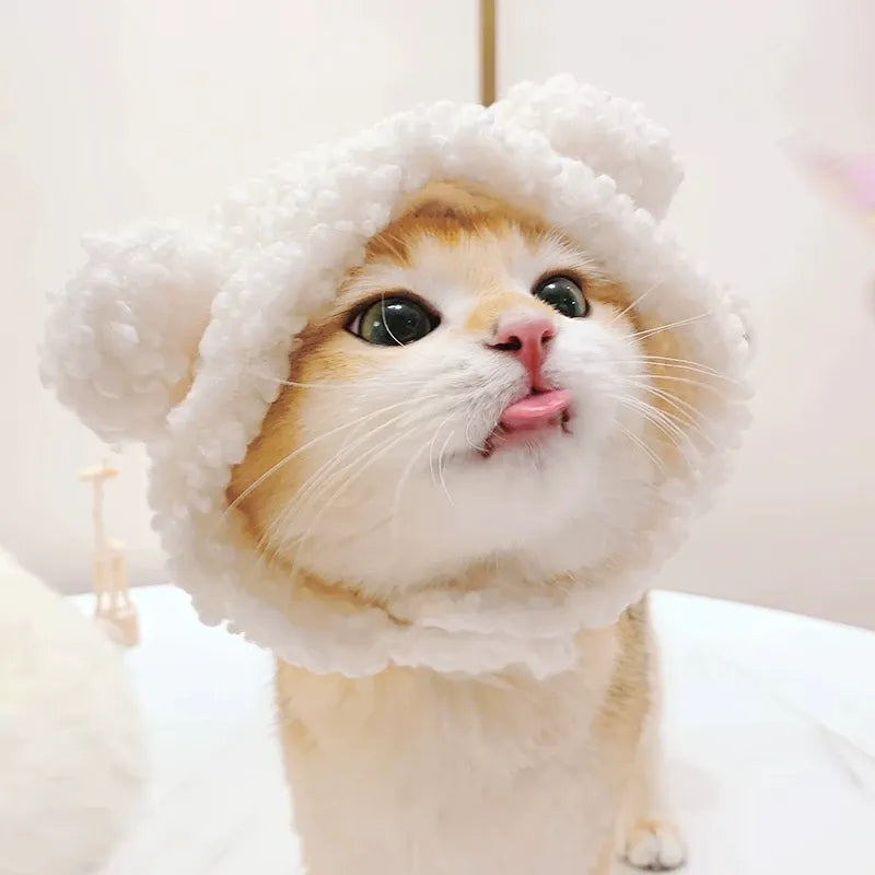Pet Costume Hats for Dogs and Cats