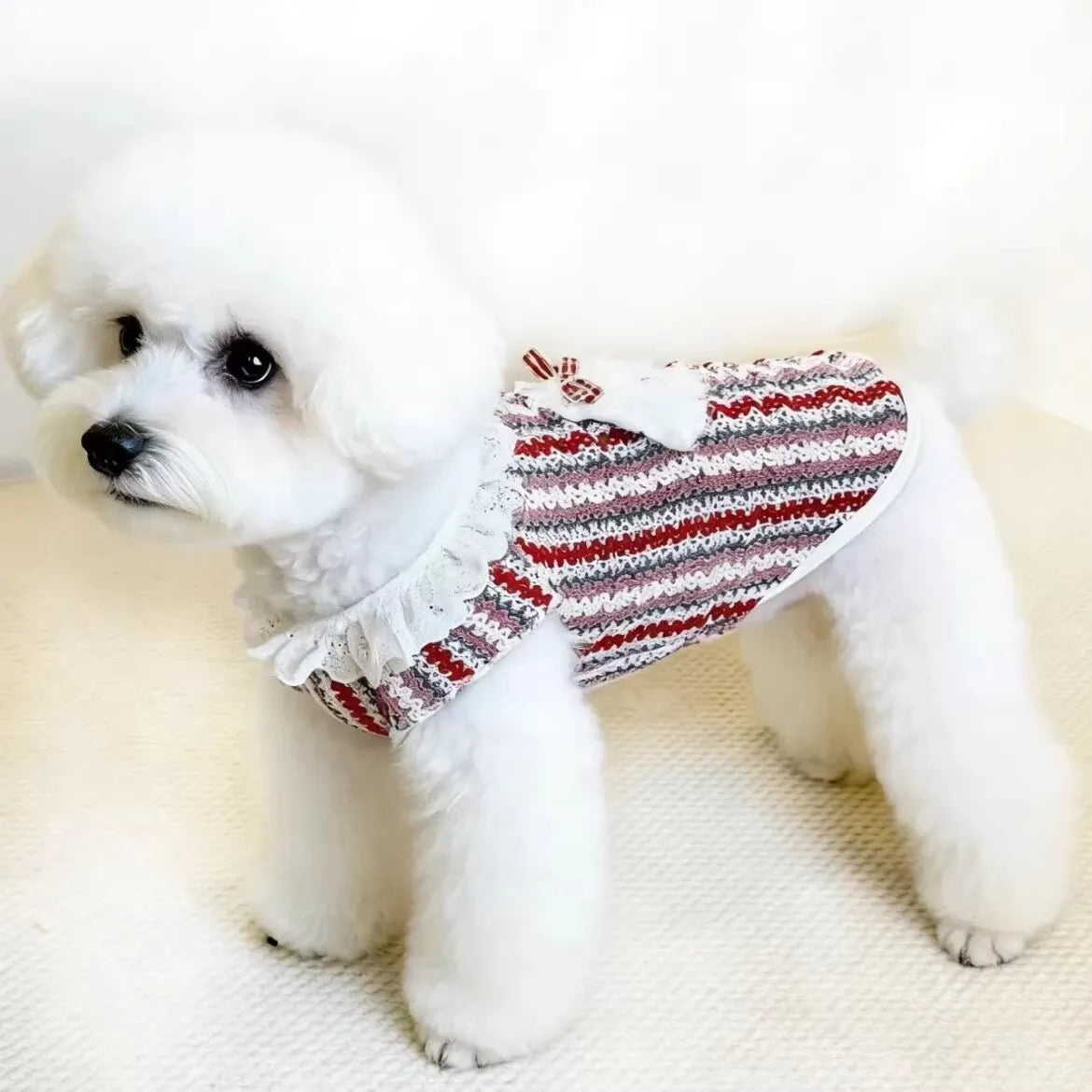 Cotton Summer Pet Shirt for Dogs and Cats