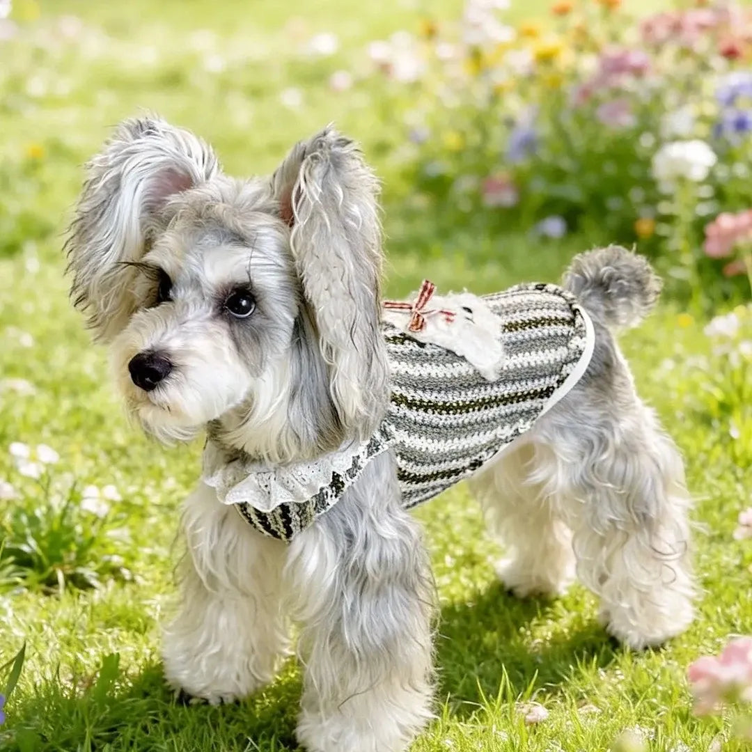 Cotton Summer Pet Shirt for Dogs and Cats