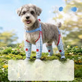 Water-Resistant Dog Jumpsuit with Built-In Paw Covers