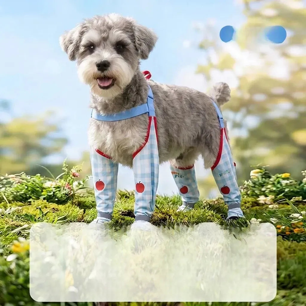 Water-Resistant Dog Jumpsuit with Built-In Paw Covers