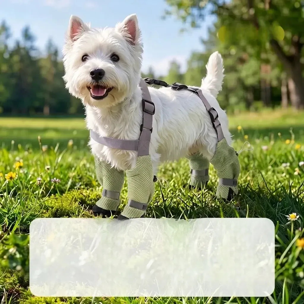 Water-Resistant Dog Jumpsuit with Built-In Paw Covers