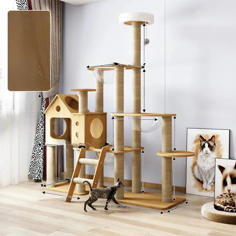 Cat Tree with Enclosed Cat House and Scratching Posts