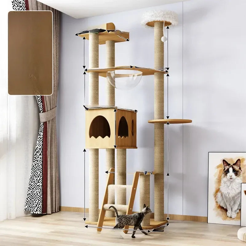 Cat Tree with Enclosed Cat House and Scratching Posts