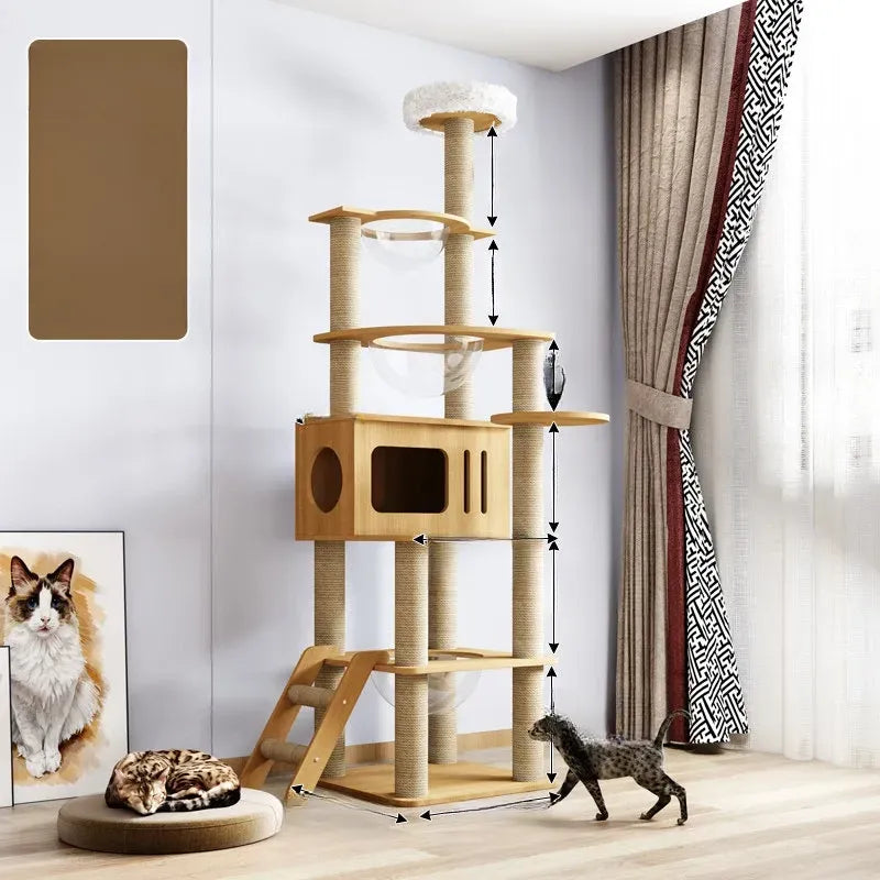 Cat Tree with Enclosed Cat House and Scratching Posts