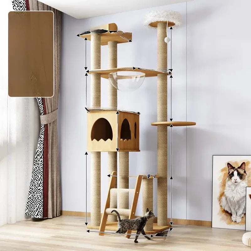 Cat Tree with Enclosed Cat House and Scratching Posts