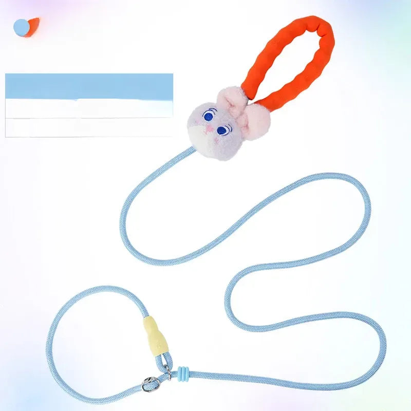 Nylon Slip Lead Dog Leash with Comfort Grip for Training