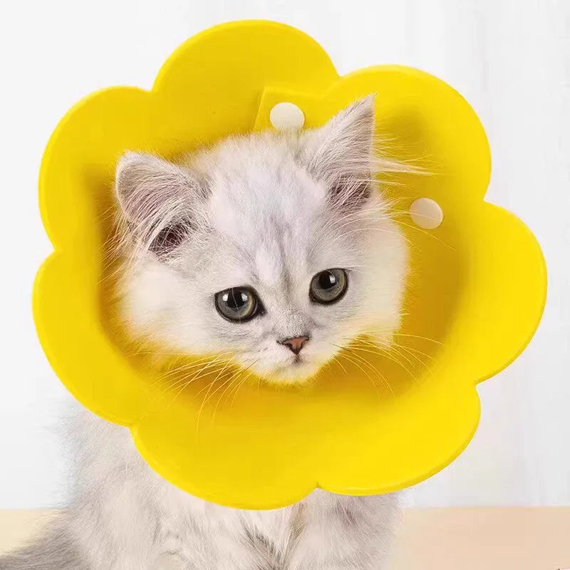 Soft Cotton-Linen Cone Collar for Cats and Dogs