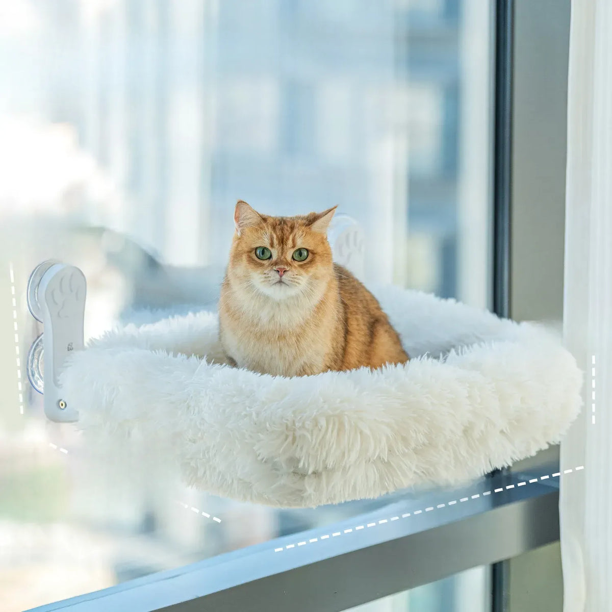 Window-Mounted Cat Hammock with Suction Cups